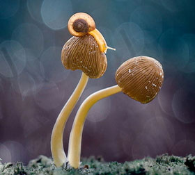 ddos攻击ip软件下载